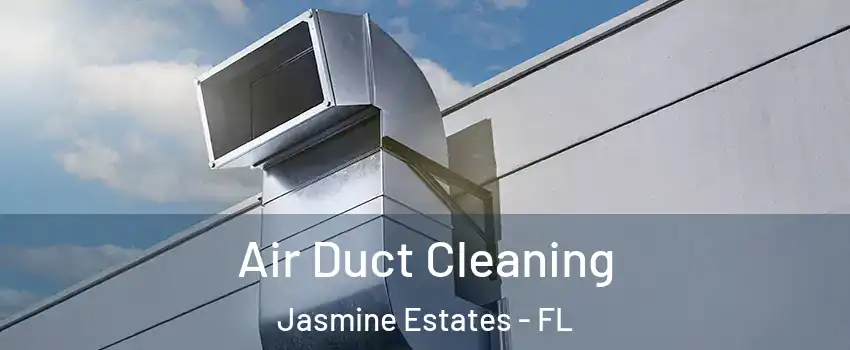  Air Duct Cleaning Jasmine Estates - FL