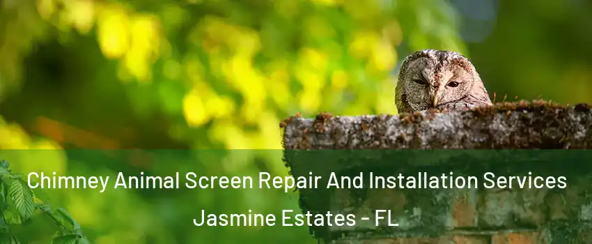  Chimney Animal Screen Repair And Installation Services Jasmine Estates - FL