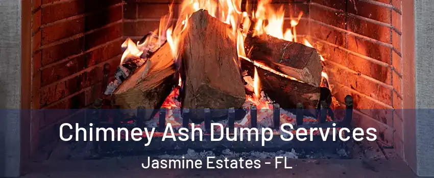  Chimney Ash Dump Services Jasmine Estates - FL