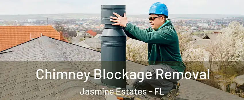  Chimney Blockage Removal Jasmine Estates - FL