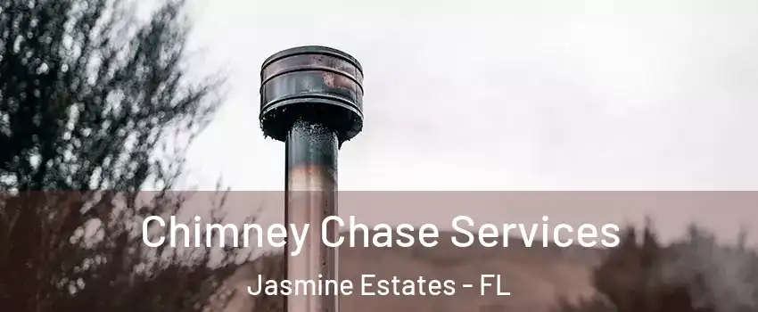  Chimney Chase Services Jasmine Estates - FL