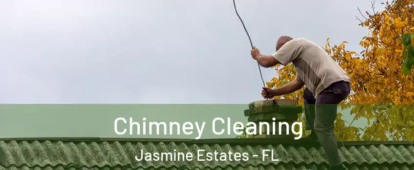  Chimney Cleaning Jasmine Estates - FL