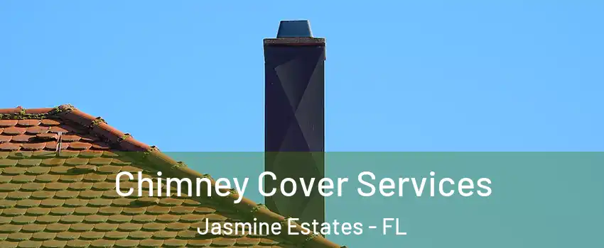  Chimney Cover Services Jasmine Estates - FL