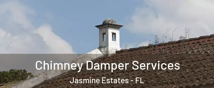  Chimney Damper Services Jasmine Estates - FL
