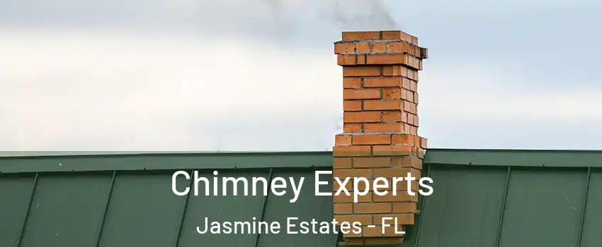  Chimney Experts Jasmine Estates - FL