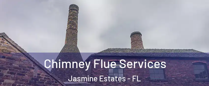  Chimney Flue Services Jasmine Estates - FL