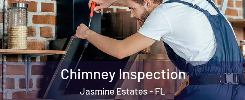 Chimney Inspection Jasmine Estates - FL