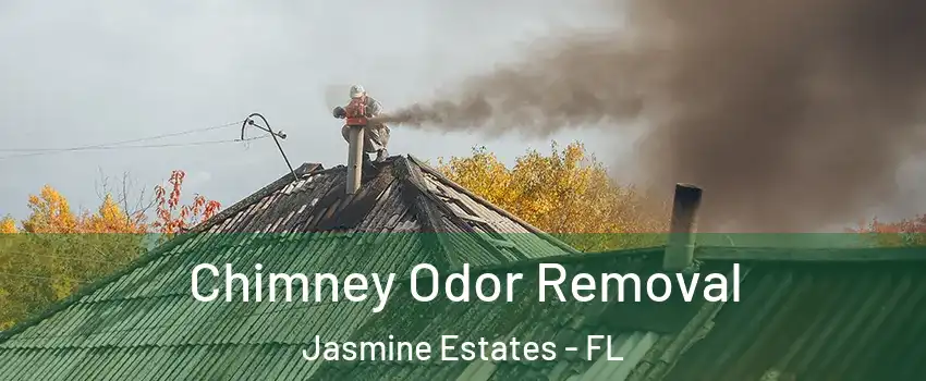  Chimney Odor Removal Jasmine Estates - FL