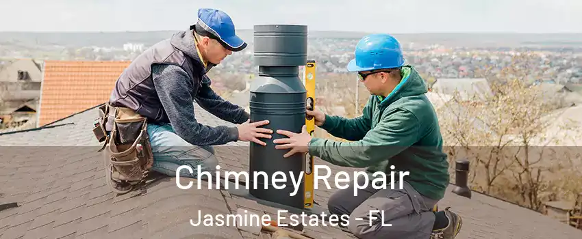  Chimney Repair Jasmine Estates - FL