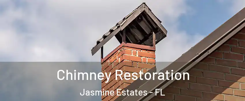  Chimney Restoration Jasmine Estates - FL