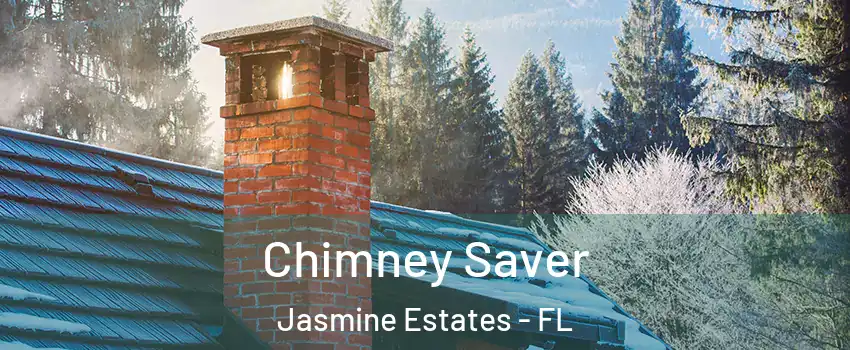  Chimney Saver Jasmine Estates - FL
