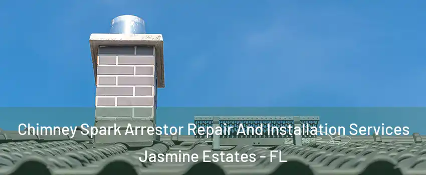  Chimney Spark Arrestor Repair And Installation Services Jasmine Estates - FL