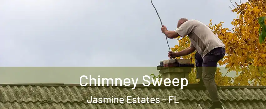  Chimney Sweep Jasmine Estates - FL