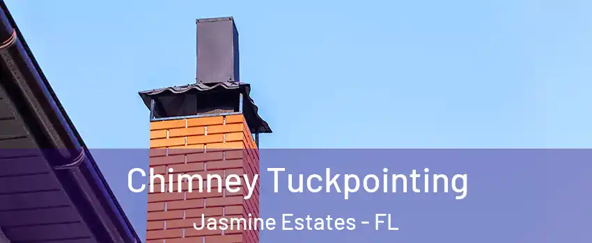 Chimney Tuckpointing Jasmine Estates - FL