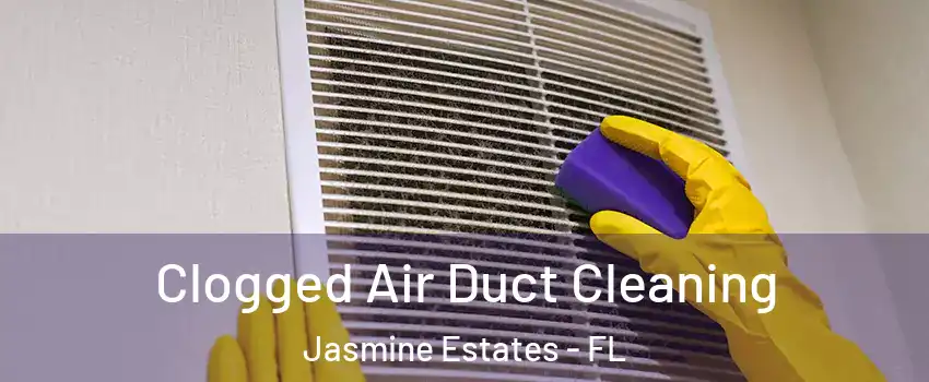  Clogged Air Duct Cleaning Jasmine Estates - FL