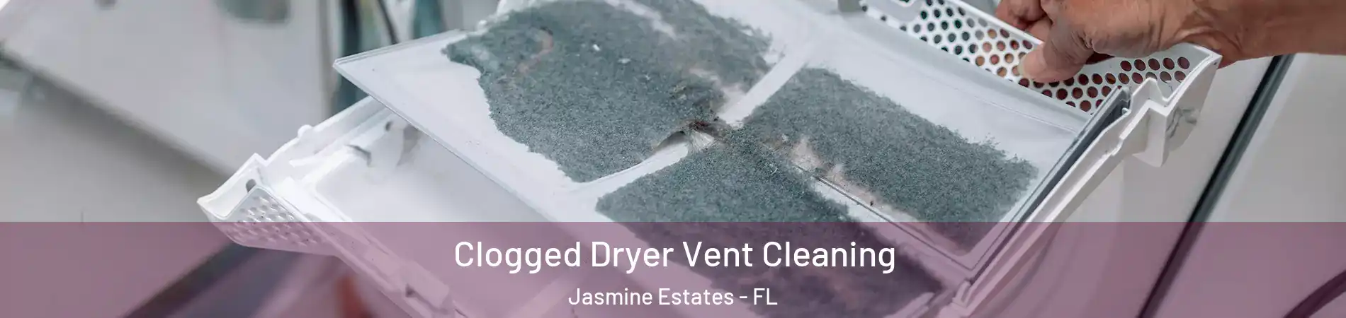  Clogged Dryer Vent Cleaning Jasmine Estates - FL