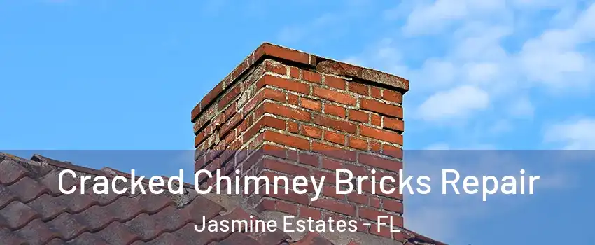  Cracked Chimney Bricks Repair Jasmine Estates - FL