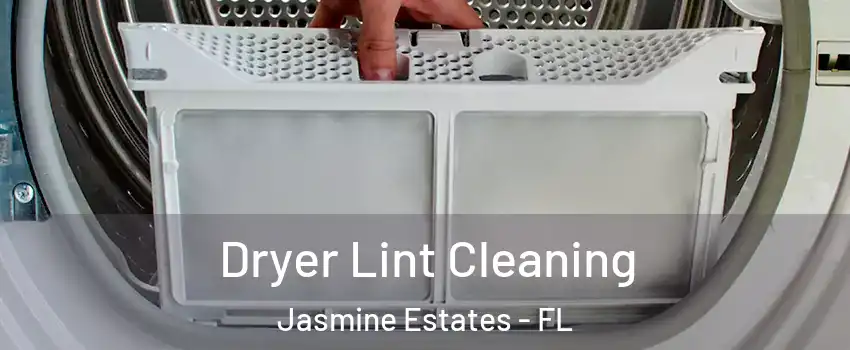  Dryer Lint Cleaning Jasmine Estates - FL