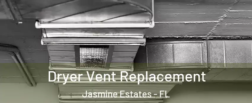  Dryer Vent Replacement Jasmine Estates - FL