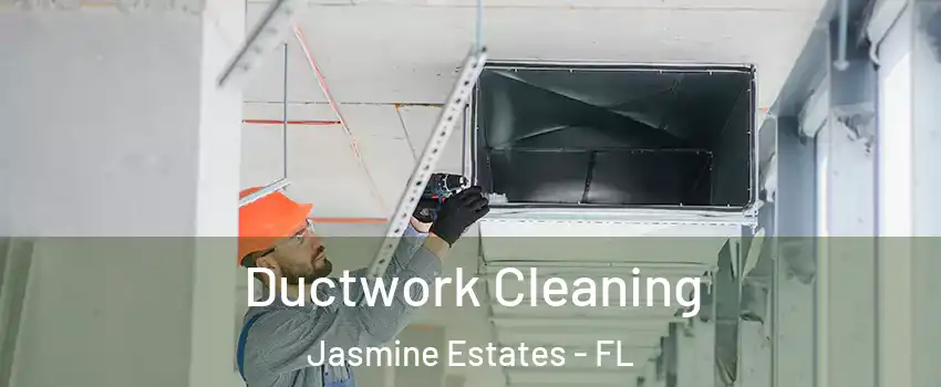  Ductwork Cleaning Jasmine Estates - FL