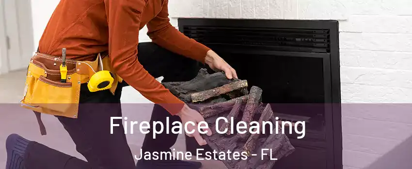  Fireplace Cleaning Jasmine Estates - FL