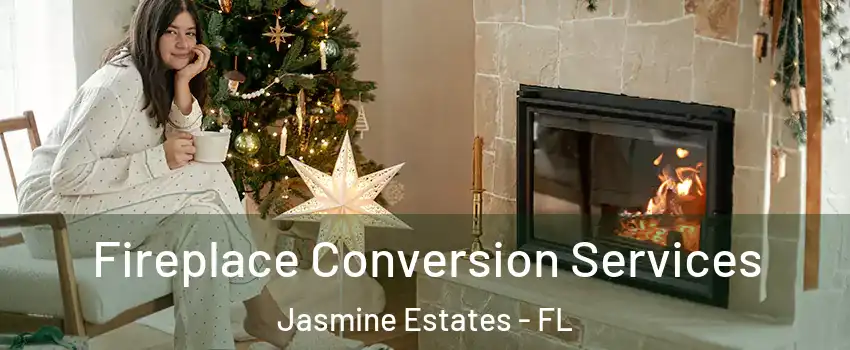  Fireplace Conversion Services Jasmine Estates - FL