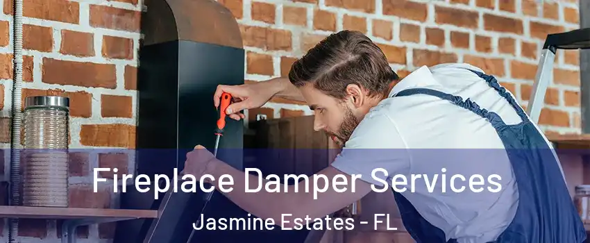 Fireplace Damper Services Jasmine Estates - FL