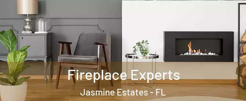  Fireplace Experts Jasmine Estates - FL