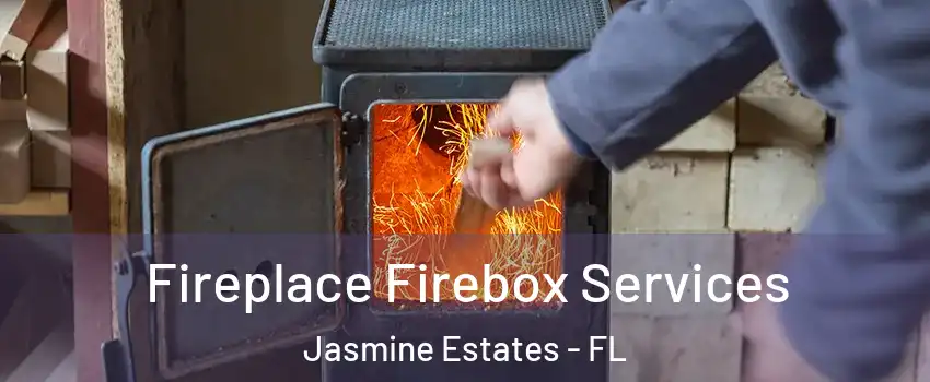  Fireplace Firebox Services Jasmine Estates - FL
