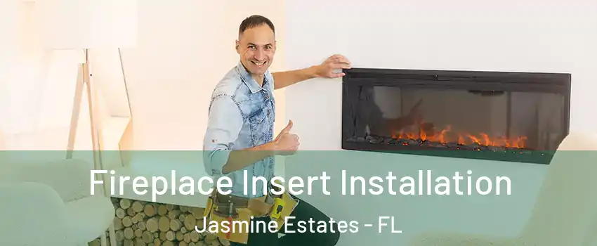  Fireplace Insert Installation Jasmine Estates - FL