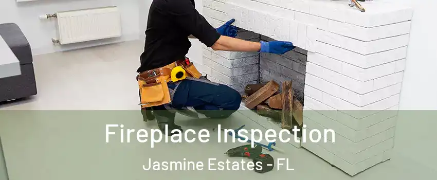  Fireplace Inspection Jasmine Estates - FL