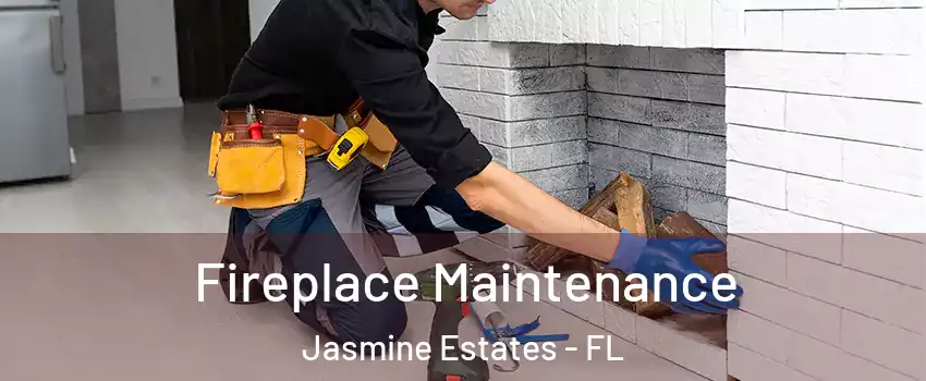  Fireplace Maintenance Jasmine Estates - FL