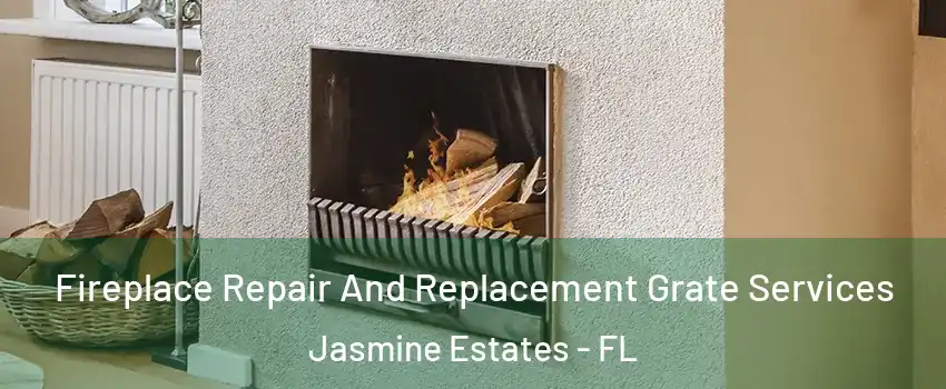  Fireplace Repair And Replacement Grate Services Jasmine Estates - FL