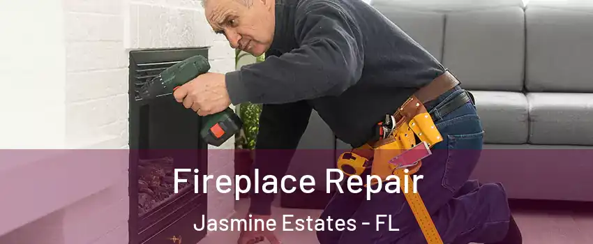  Fireplace Repair Jasmine Estates - FL