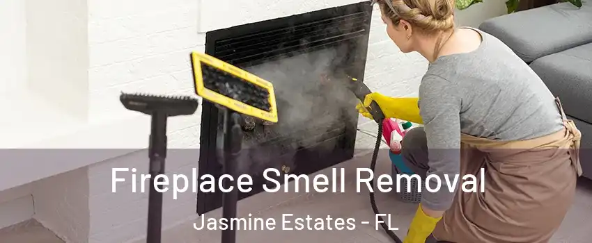  Fireplace Smell Removal Jasmine Estates - FL