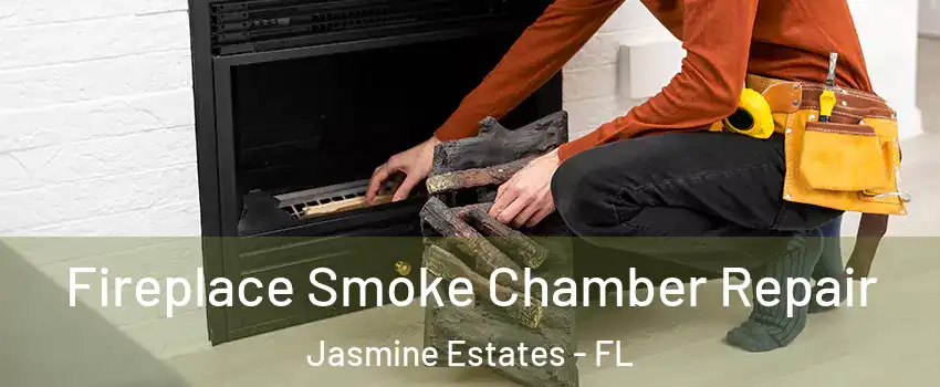  Fireplace Smoke Chamber Repair Jasmine Estates - FL