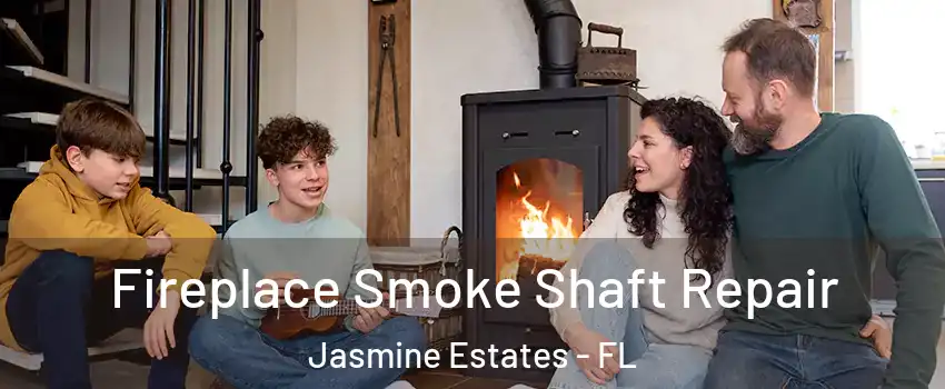  Fireplace Smoke Shaft Repair Jasmine Estates - FL