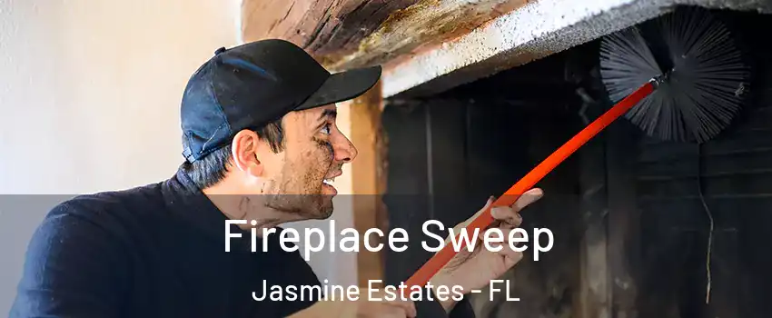  Fireplace Sweep Jasmine Estates - FL