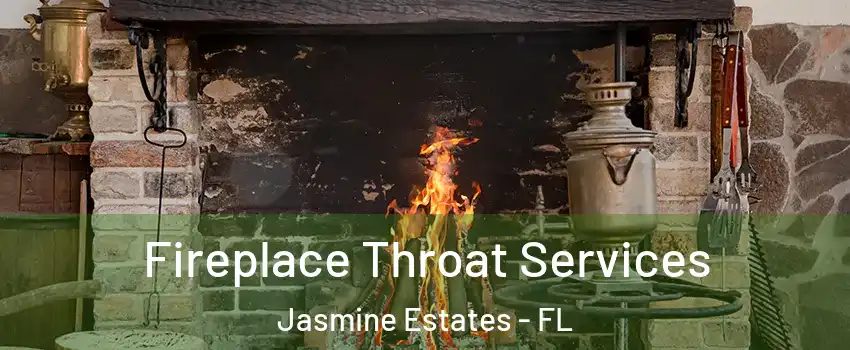  Fireplace Throat Services Jasmine Estates - FL