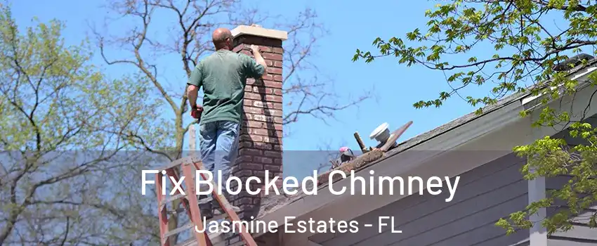  Fix Blocked Chimney Jasmine Estates - FL