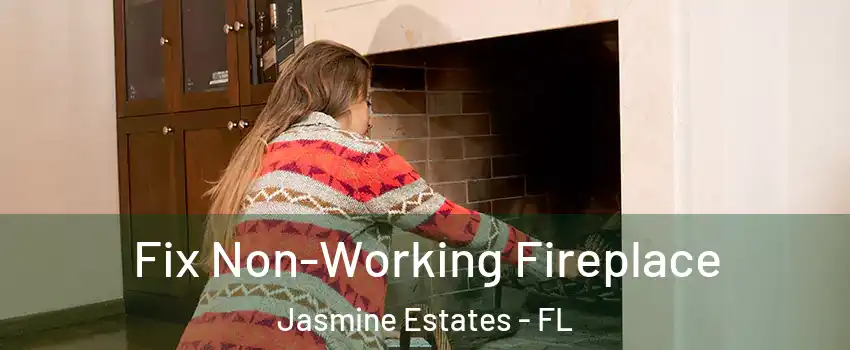  Fix Non-Working Fireplace Jasmine Estates - FL