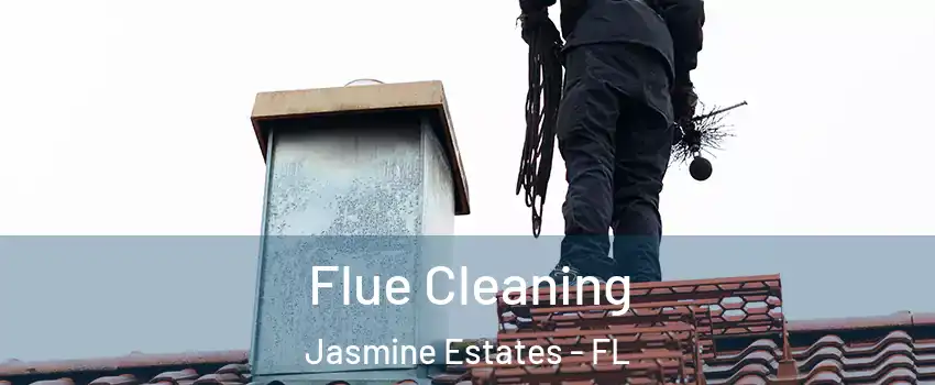  Flue Cleaning Jasmine Estates - FL