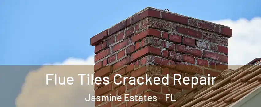  Flue Tiles Cracked Repair Jasmine Estates - FL
