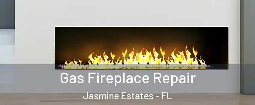  Gas Fireplace Repair Jasmine Estates - FL