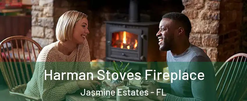  Harman Stoves Fireplace Jasmine Estates - FL