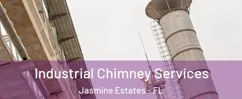  Industrial Chimney Services Jasmine Estates - FL