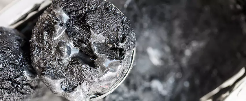 Clogged Dryer Vent Lint Cleaning in Jasmine Estates, Florida