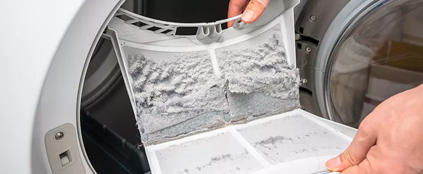 Best Dryer Lint Removal Company in Jasmine Estates, Florida