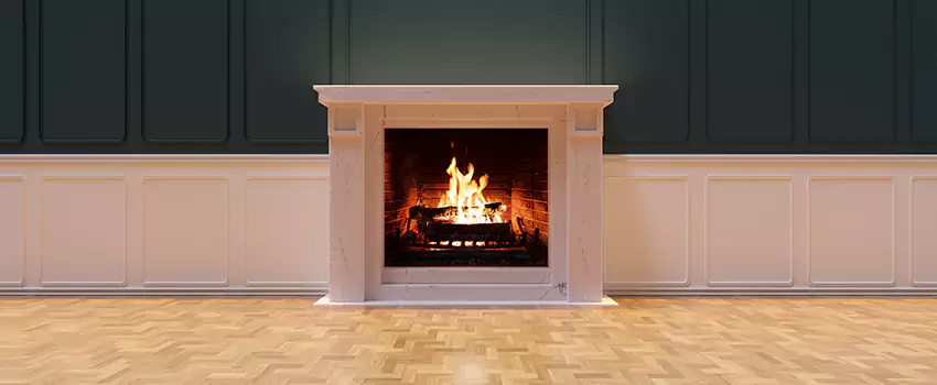 Napoleon Electric Fireplaces Inspection Service in Jasmine Estates, Florida