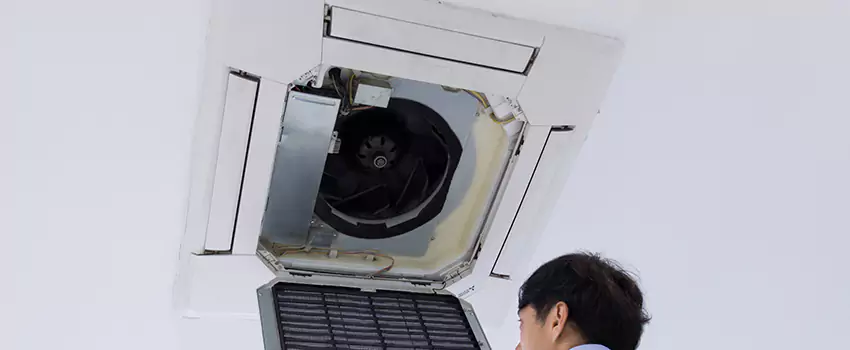 Benefits of Professional Air Duct Cleaning in Jasmine Estates, Florida